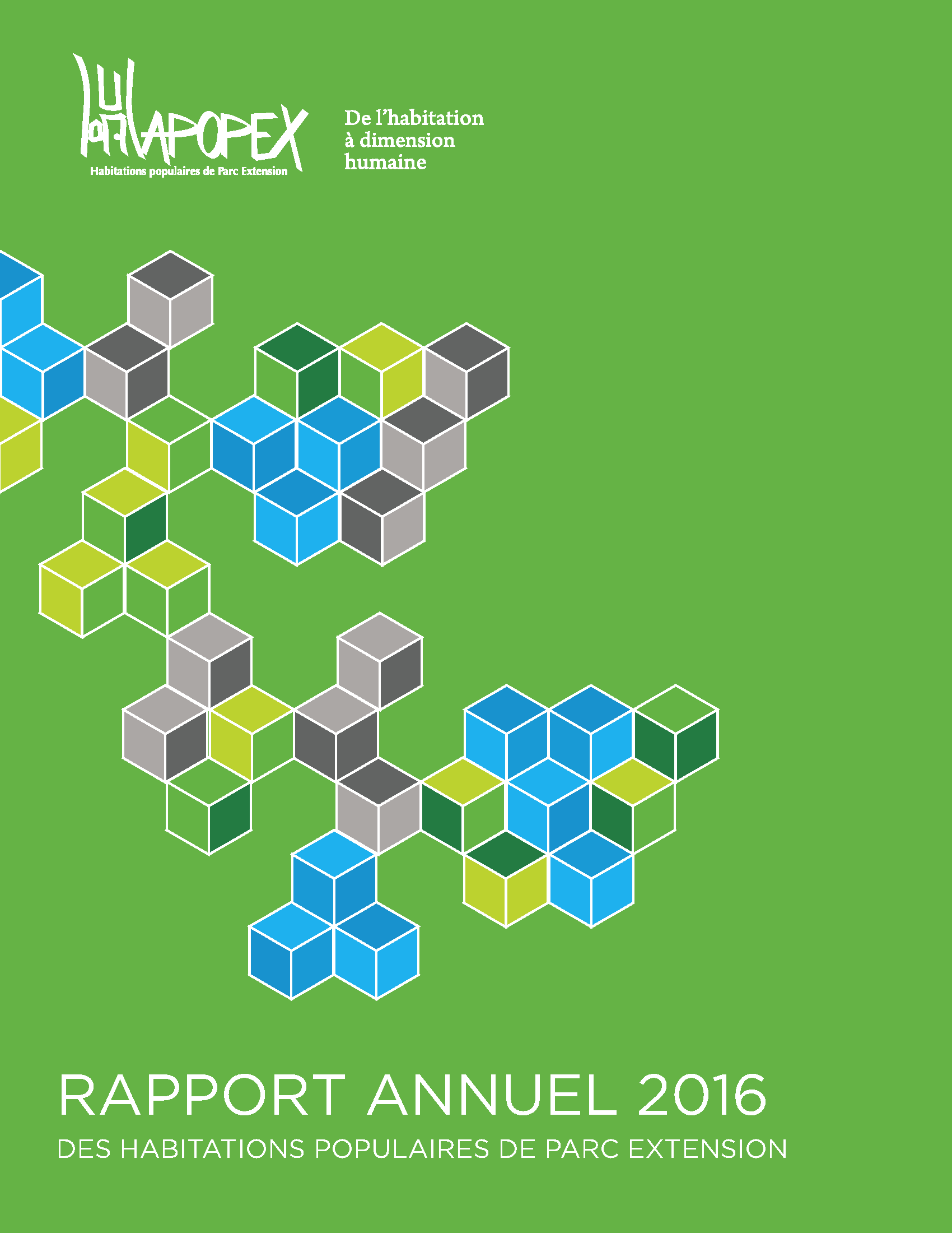 Hapopex Annual Report Design by Clement Lemay-Chaput (Montreal)